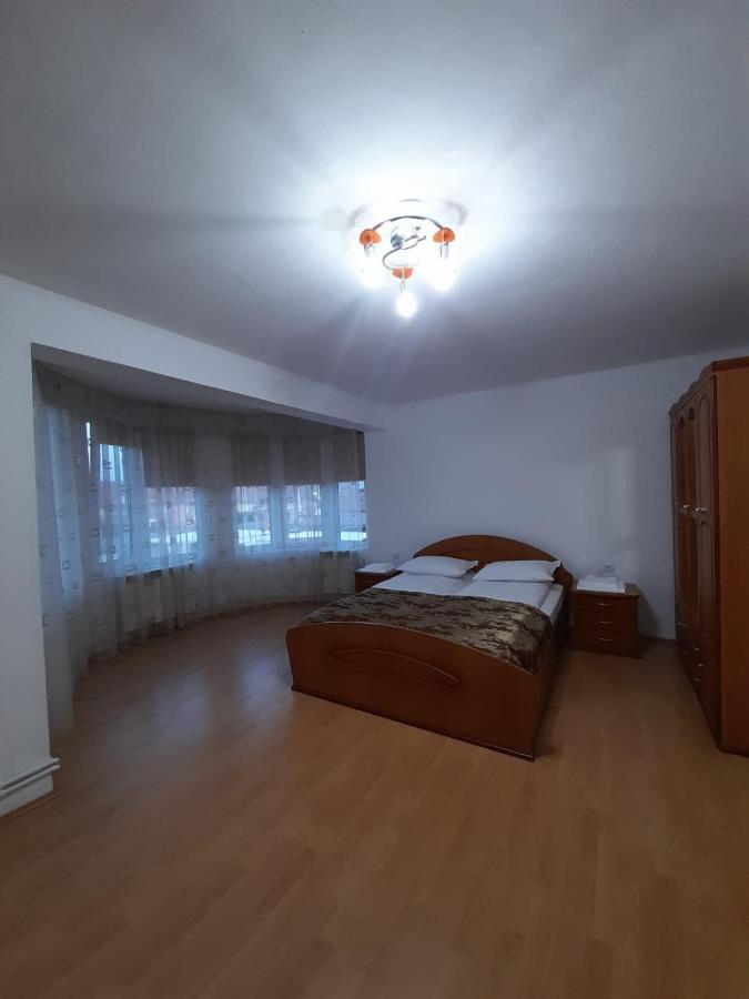 Vila Ge Sebes  Bagian luar foto